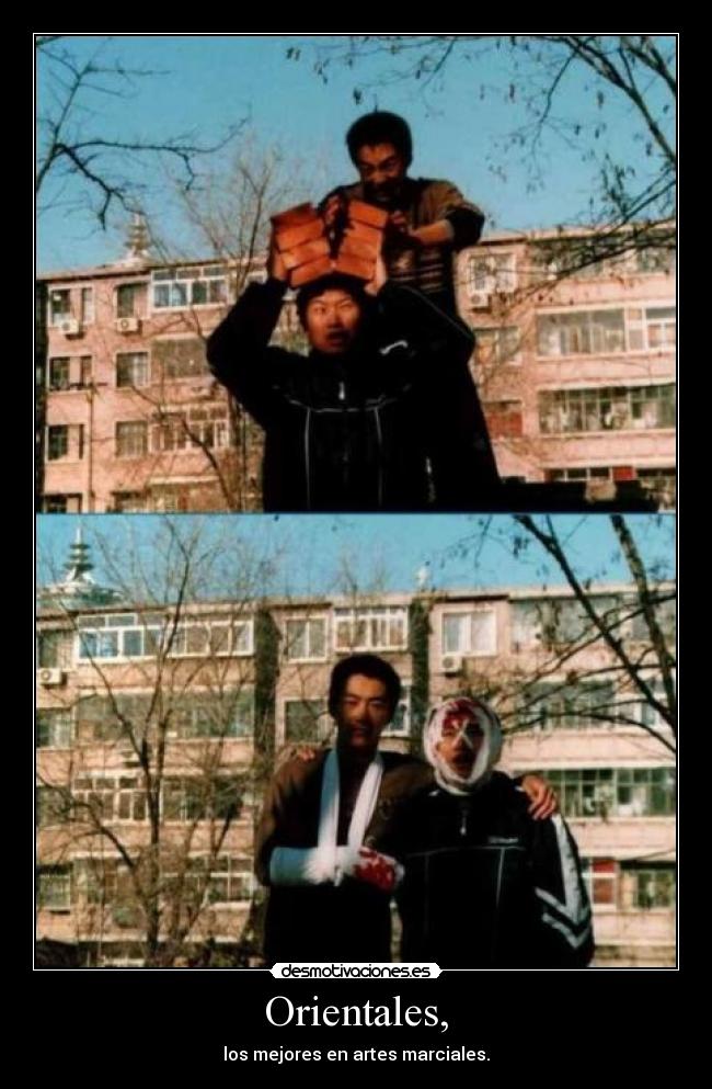 Orientales, - los mejores en artes marciales.