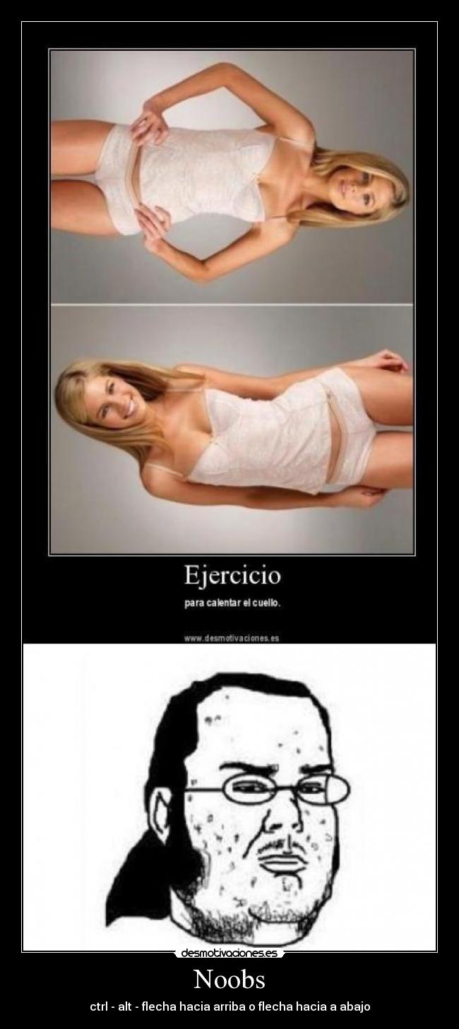 Noobs - ctrl - alt - flecha hacia arriba o flecha hacia a abajo