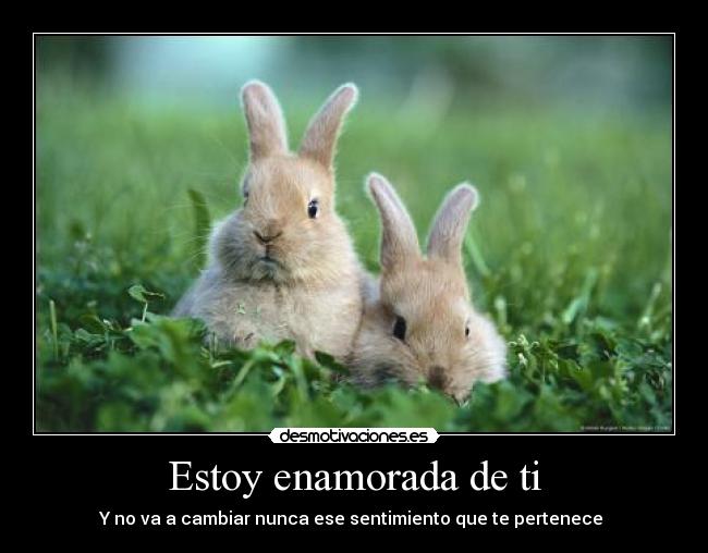 Estoy enamorada de ti - Y no va a cambiar nunca ese sentimiento que te pertenece