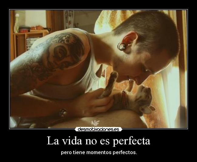 La vida no es perfecta - 