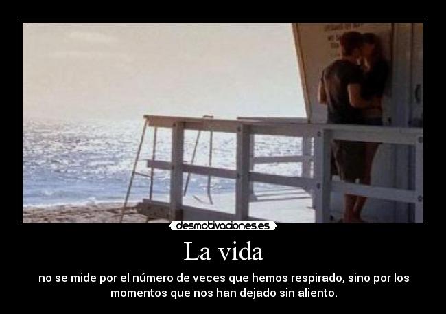 carteles vida vida desmotivaciones