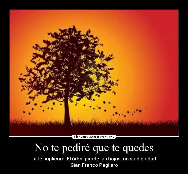 No te pediré que te quedes -