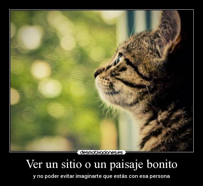 Ver un sitio o un paisaje bonito - y no poder evitar imaginarte que estás con esa persona