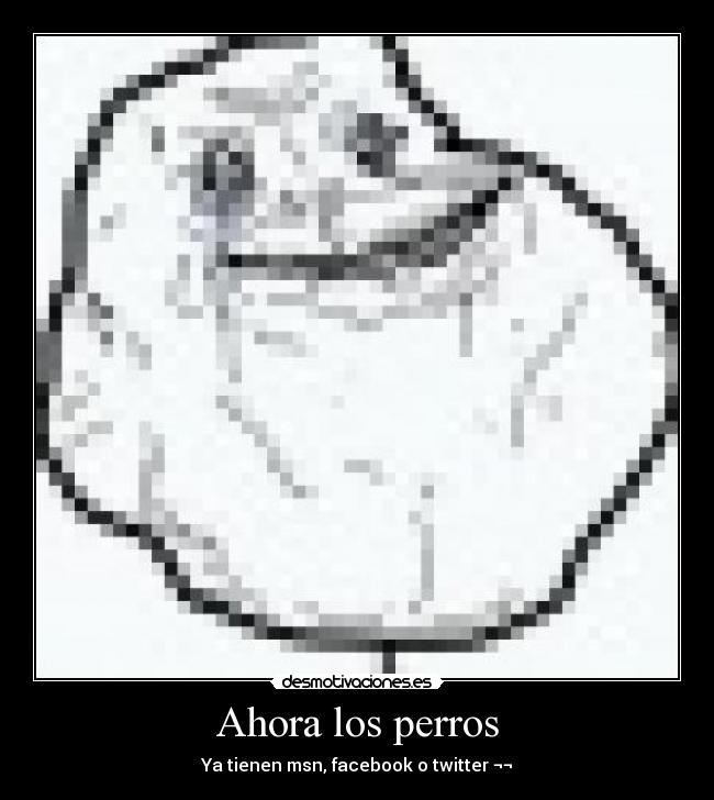 Ahora los perros - Ya tienen msn, facebook o twitter ¬¬