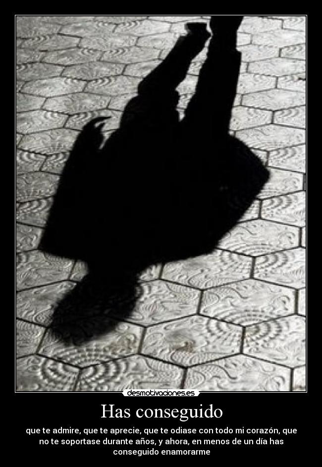 Has conseguido - que te admire, que te aprecie, que te odiase con todo mi corazón, que
no te soportase durante años, y ahora, en menos de un día has
conseguido enamorarme