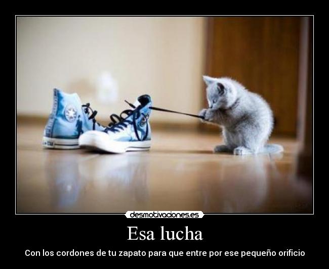 Esa lucha - Con los cordones de tu zapato para que entre por ese pequeño orificio