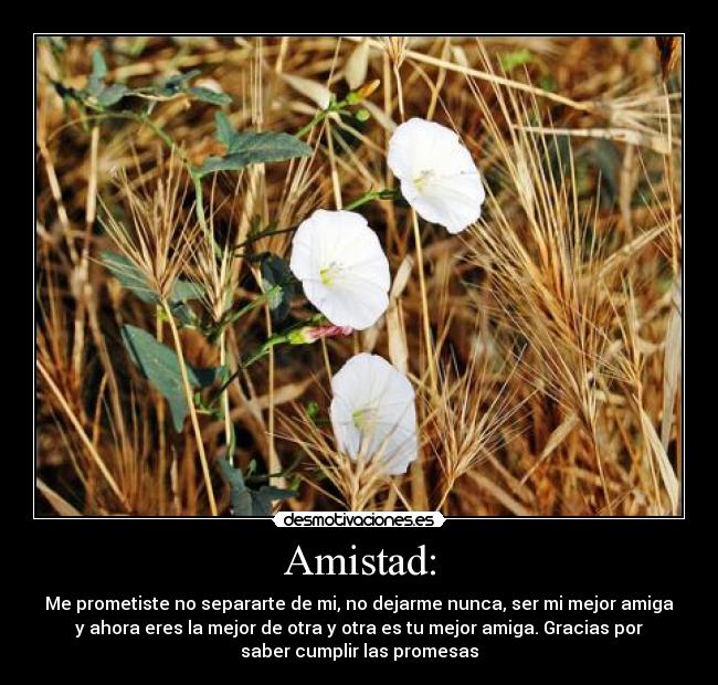 Amistad: - 