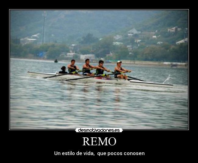 carteles remo desmotivaciones