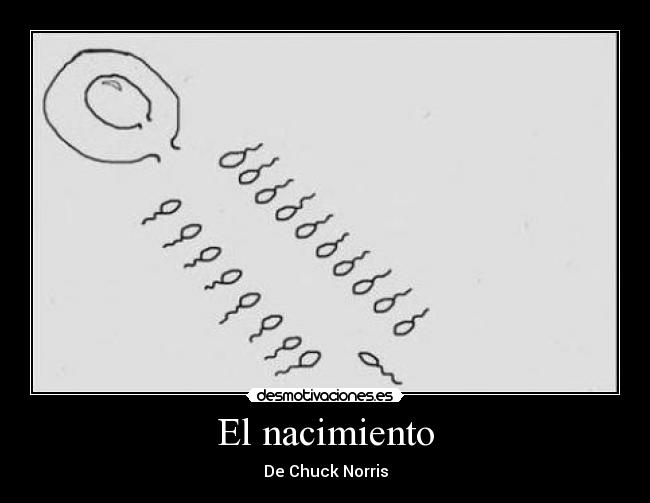 El nacimiento - 