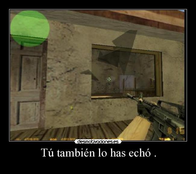 Tú también lo has echó . -