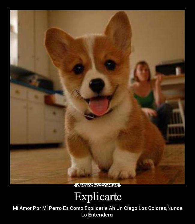 Explicarte - Mi Amor Por Mi Perro Es Como Explicarle Ah Un Ciego Los Colores,Nunca
Lo Entendera 