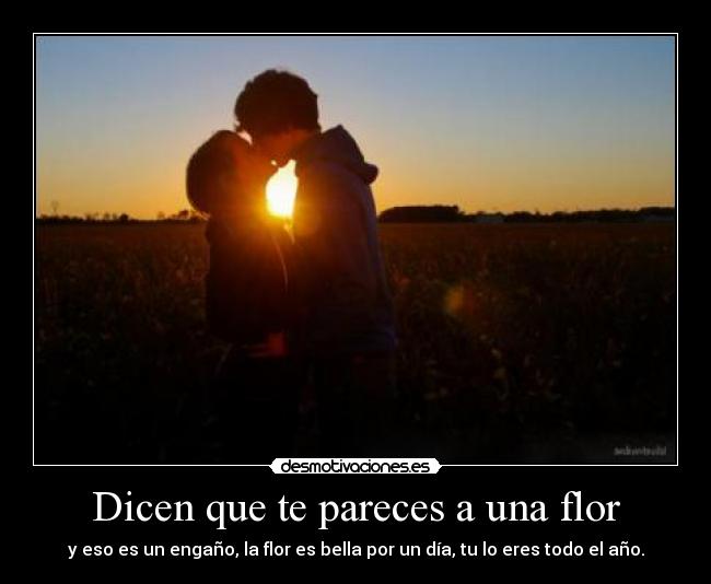Dicen que te pareces a una flor - y eso es un engaño, la flor es bella por un día, tu lo eres todo el año.