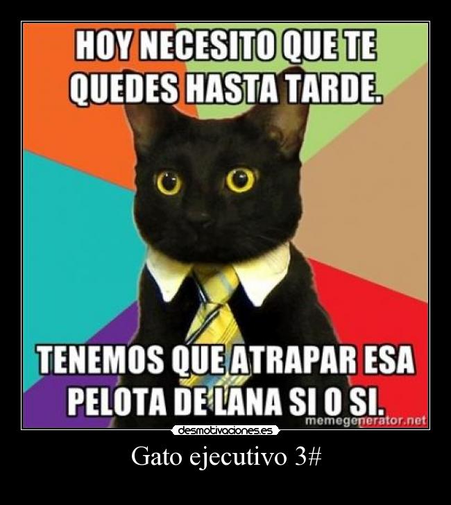 Gato ejecutivo 3# -