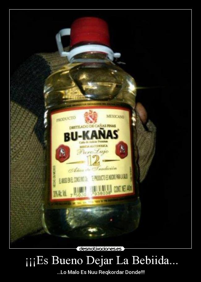¡¡¡Es Bueno Dejar La Bebiida... - 