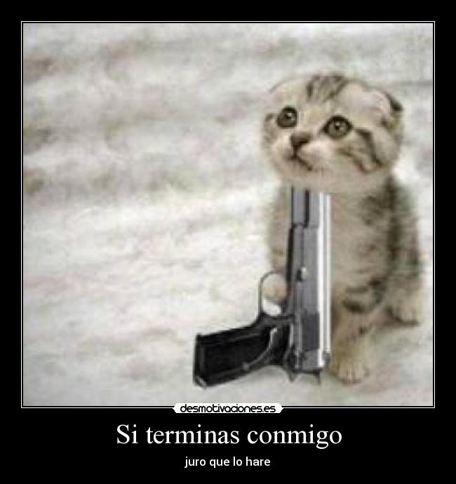 carteles gatoshumor arma desmotivaciones