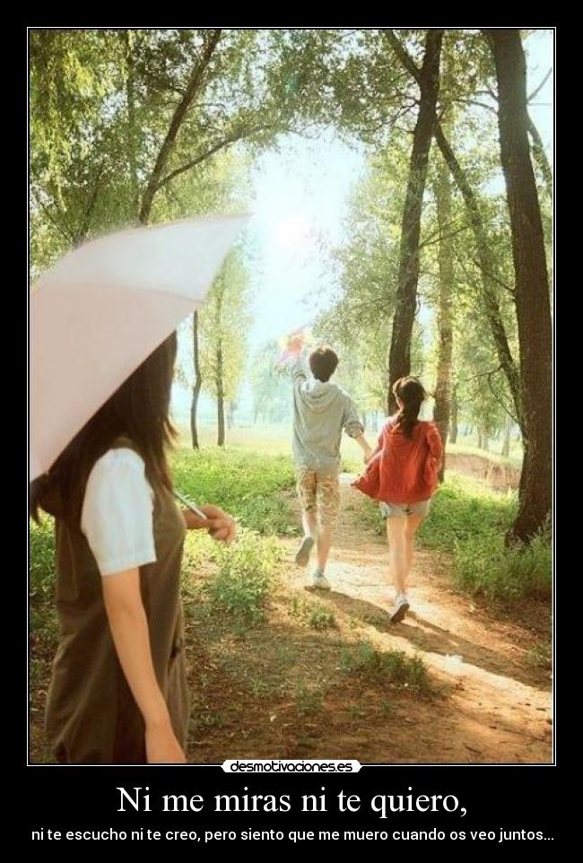 Ni me miras ni te quiero, - ni te escucho ni te creo, pero siento que me muero cuando os veo juntos...