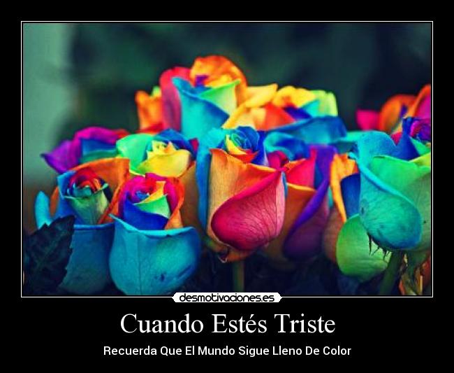 carteles colores flores felizidad tristesa desmotivaciones