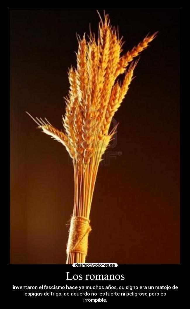 Los romanos -