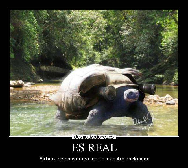 ES REAL - 