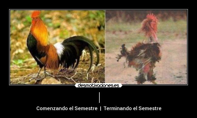 carteles como entras sales clases desmotivaciones