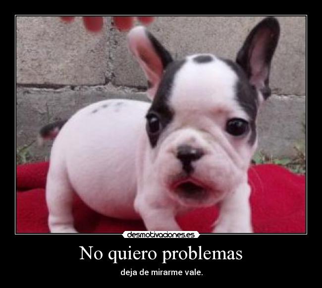 No quiero problemas -