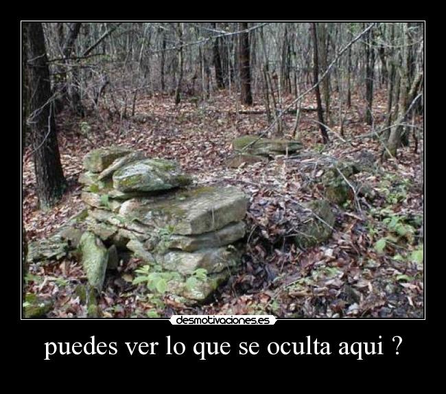 carteles lol desmotivaciones