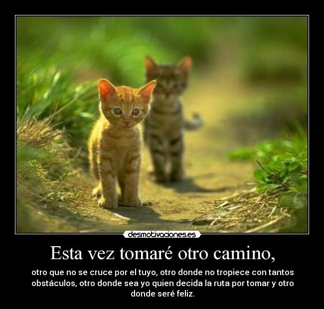 Esta vez tomaré otro camino, - otro que no se cruce por el tuyo, otro donde no tropiece con tantos
obstáculos, otro donde sea yo quien decida la ruta por tomar y otro
donde seré feliz.