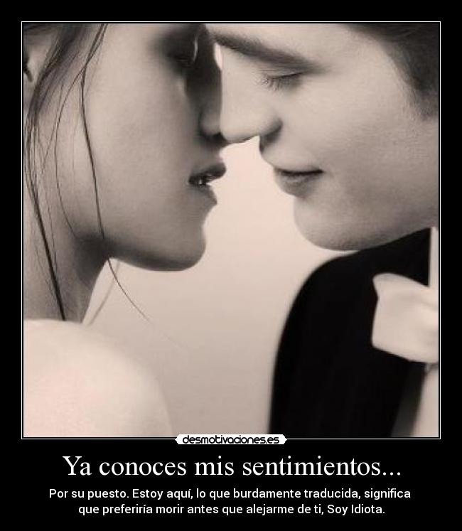 Ya conoces mis sentimientos... - 