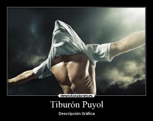 Tiburón Puyol - Descripción Gráfica
