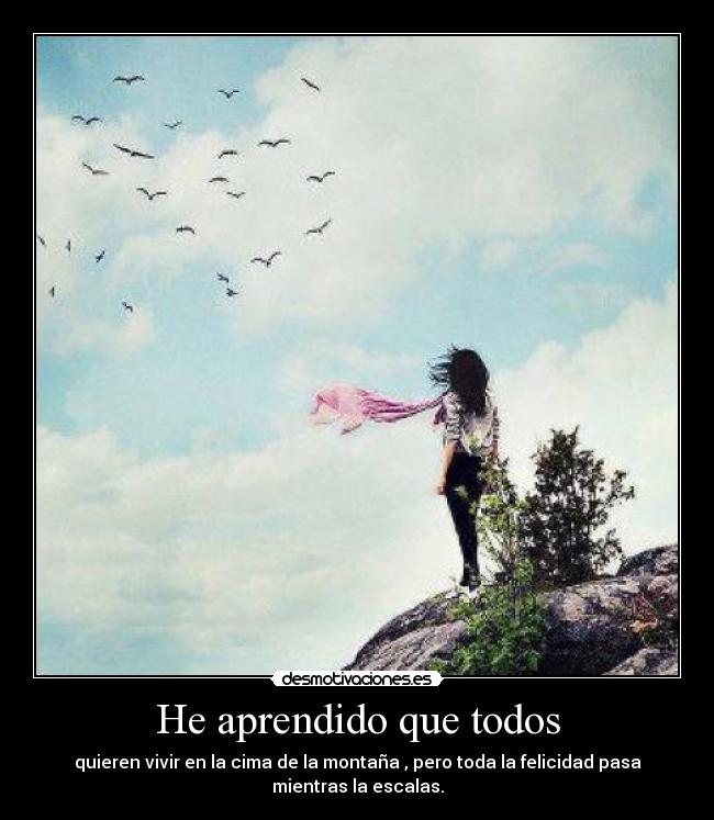 carteles aprendido que todos desmotivaciones