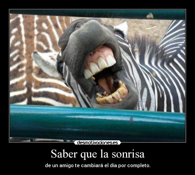 Saber que la sonrisa -
