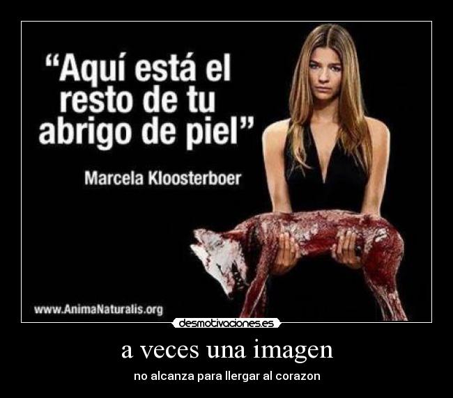 a veces una imagen - no alcanza para llergar al corazon