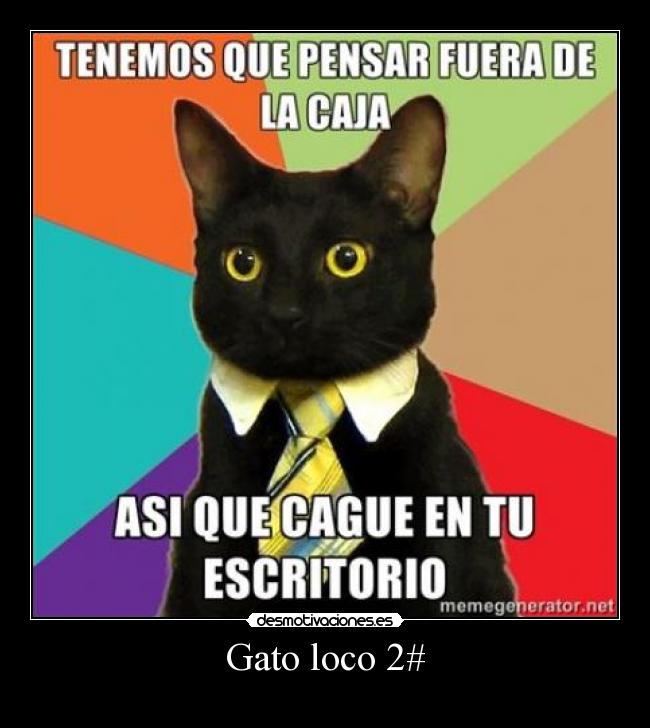 Gato loco 2# -
