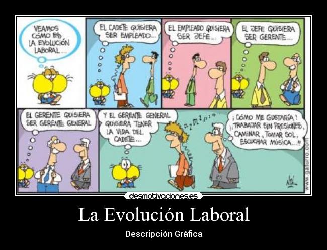 La Evolución Laboral -