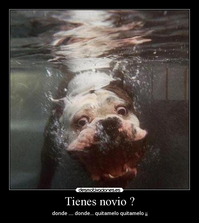 Tienes novio ? - donde .... donde... quitamelo quitamelo ¡¡