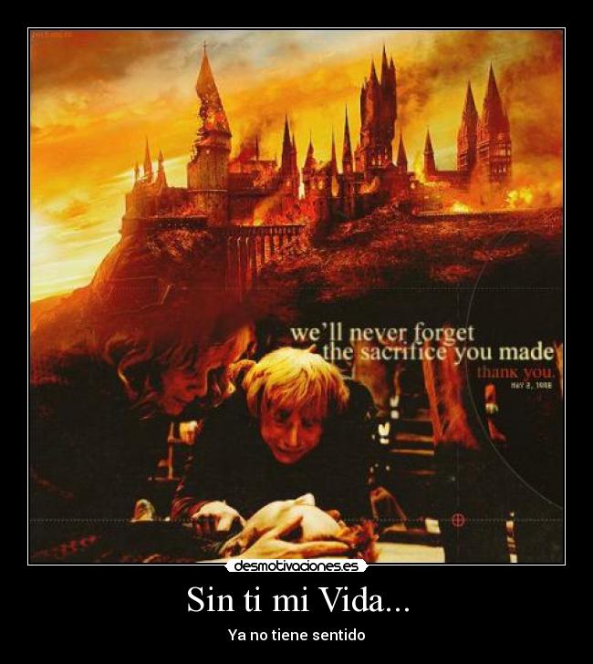 carteles vida harry potter ron hermione forever harry forever potterica desmotivaciones