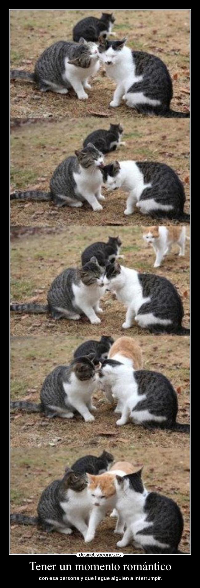 Tener un momento romántico -