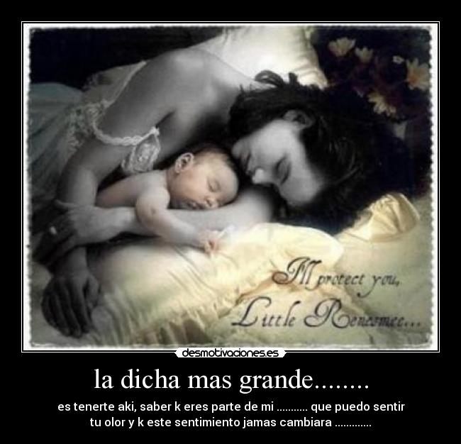 carteles mayela gutierrez desmotivaciones