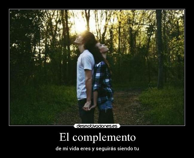 El complemento - 