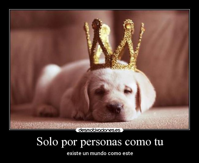 Solo por personas como tu - existe un mundo como este