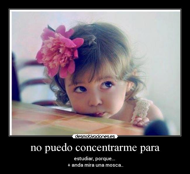 no puedo concentrarme para - estudiar, porque...
+ anda mira una mosca..