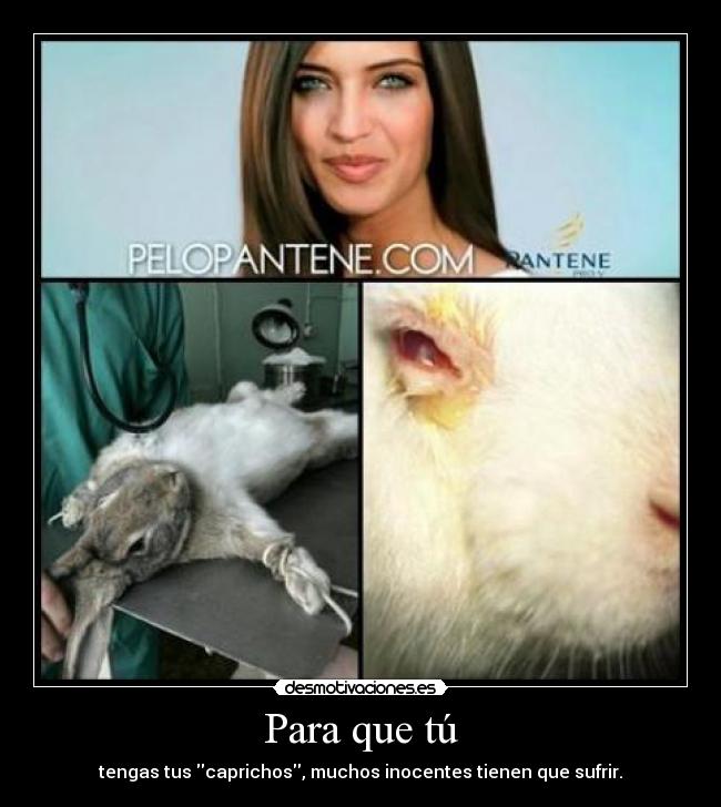 carteles elalienveloz crazyclub clanantifas tienes pelo bonito verdad zorra ojala decapiten desmotivaciones