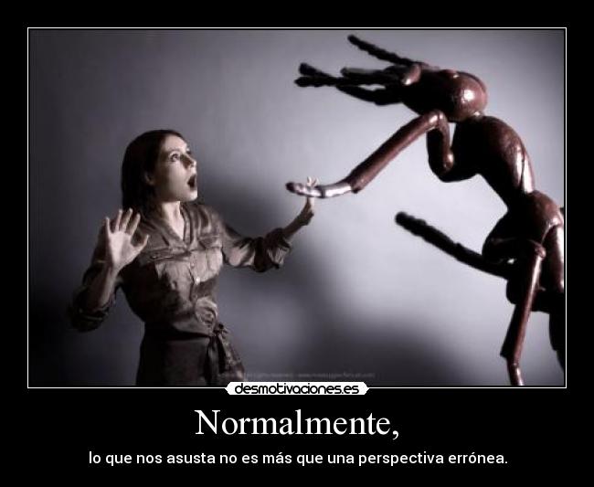 carteles normalmente otras veces solo somos unos gallinas desmotivaciones