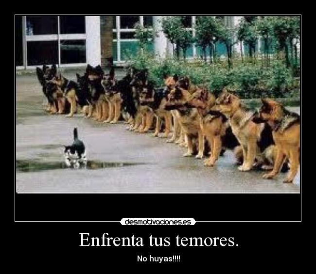 Enfrenta tus temores. - 