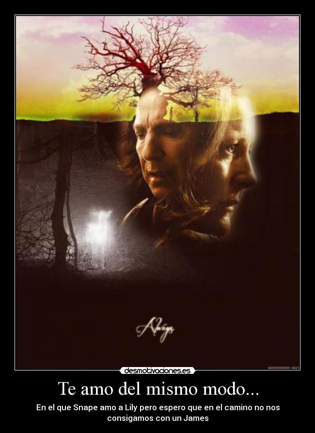 Te amo del mismo modo... -