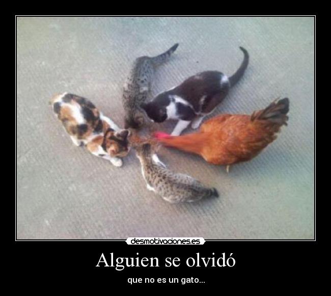 carteles  desmotivaciones