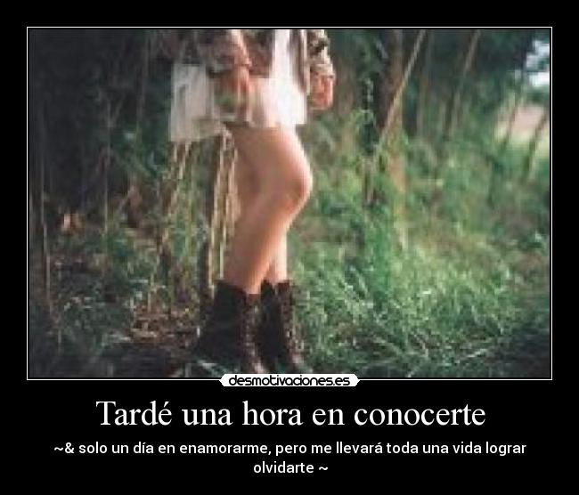 Tardé una hora en conocerte - ~& solo un día en enamorarme, pero me llevará toda una vida lograr olvidarte ~