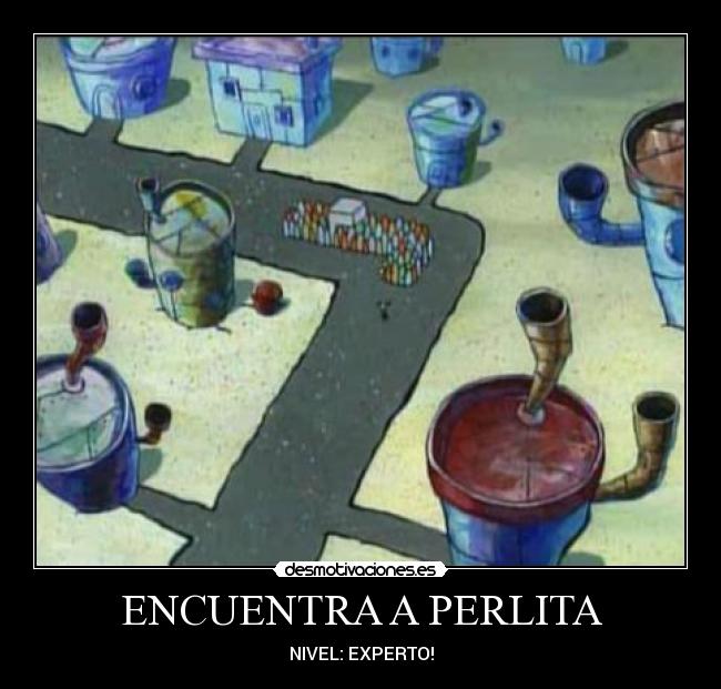 ENCUENTRA A PERLITA - NIVEL: EXPERTO!