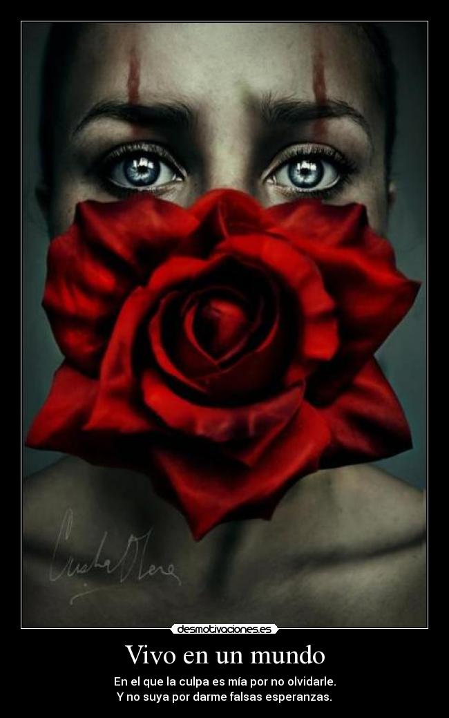 carteles mundo janette kagamine harta del mundo desmotivaciones