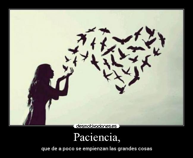 Paciencia, - 